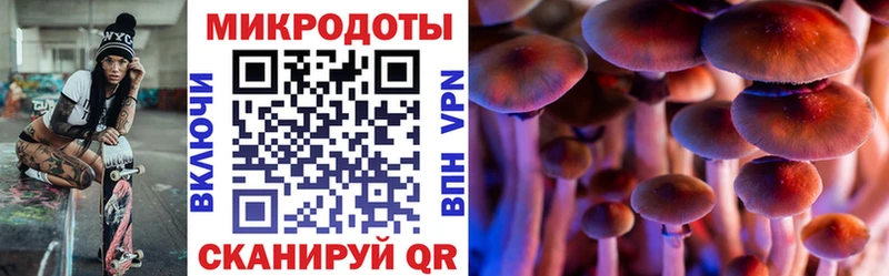 кракен маркетплейс  Реутов  Псилоцибиновые грибы ЛСД 